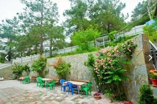 Пансион «Сосны»