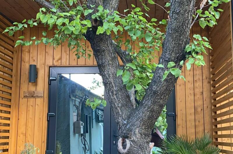 Гостевой дом «DolceFarNiente»