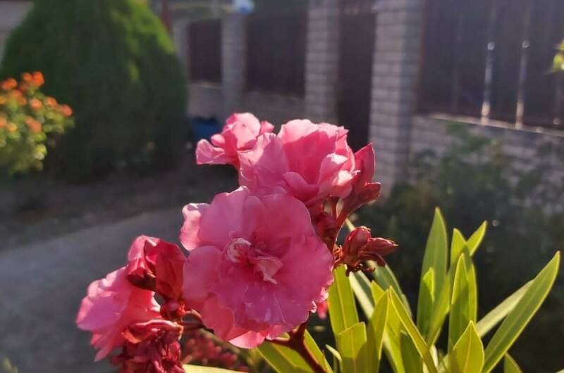 Гостевой дом «Людмила»