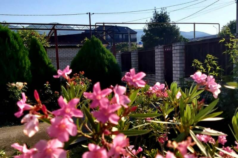 Гостевой дом «Людмила»