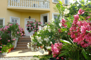 Изображение Гостевой дом «Олеандр» #5