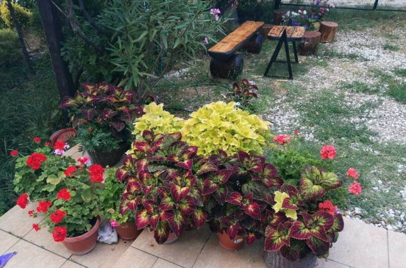 Гостевой дом «Олеандр»