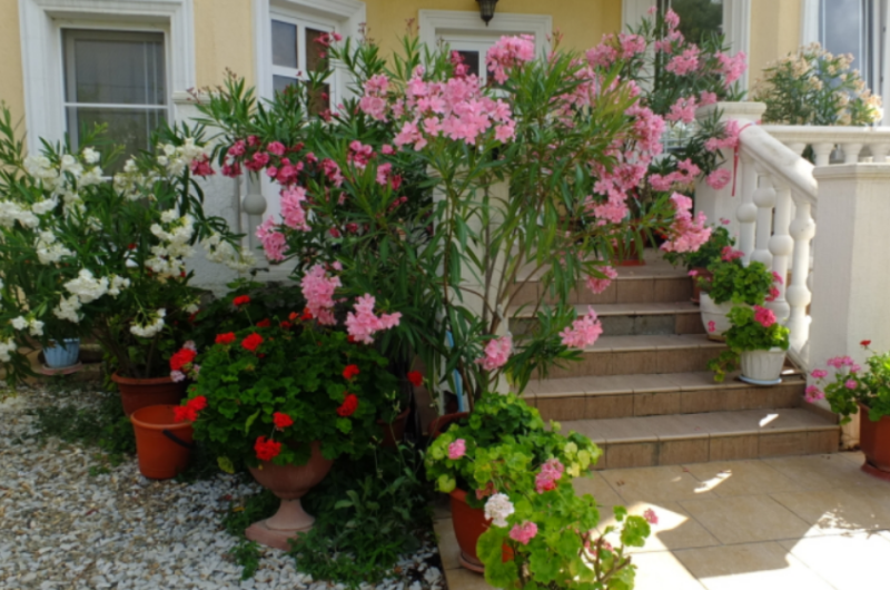 Гостевой дом «Олеандр»