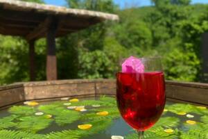 Изображение Бунгало под ключ «Сатори» #5