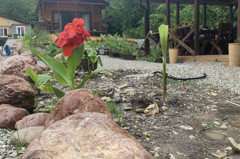 Бунгало под ключ «Сатори»