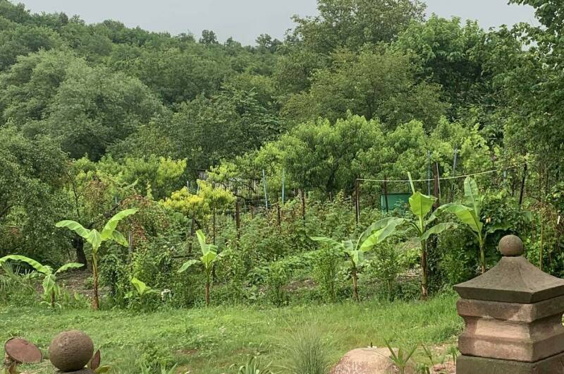 Бунгало под ключ «Сатори»