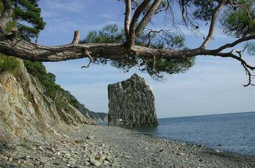 Апартаменты у моря