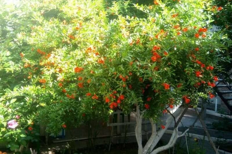 Гостевой дом на Красногвардейской