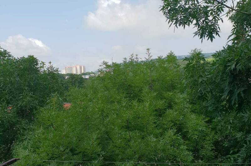 Апартаменты «Люкс»