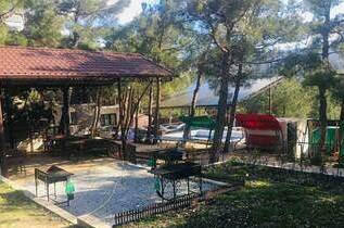 Этаж под ключ «В сосновом бору»