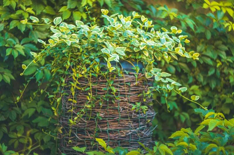 Гостевой дом «ДимИль»