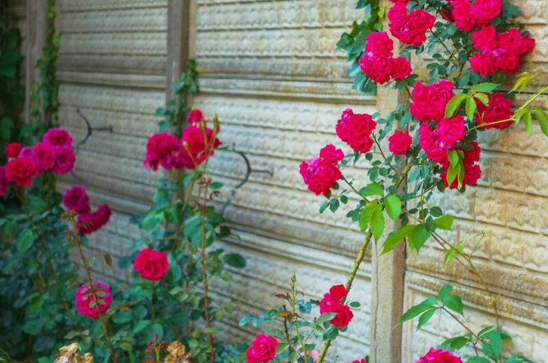 Гостевой дом «ДимИль»