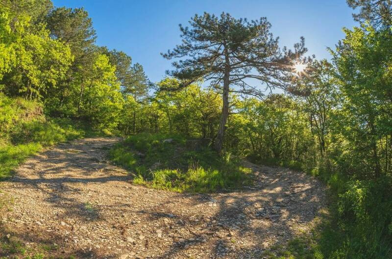 Гостевой дом «ДимИль»