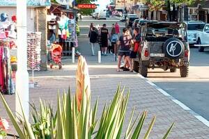 Изображение Гостевой дом «Zelionyi.dvorik» #4