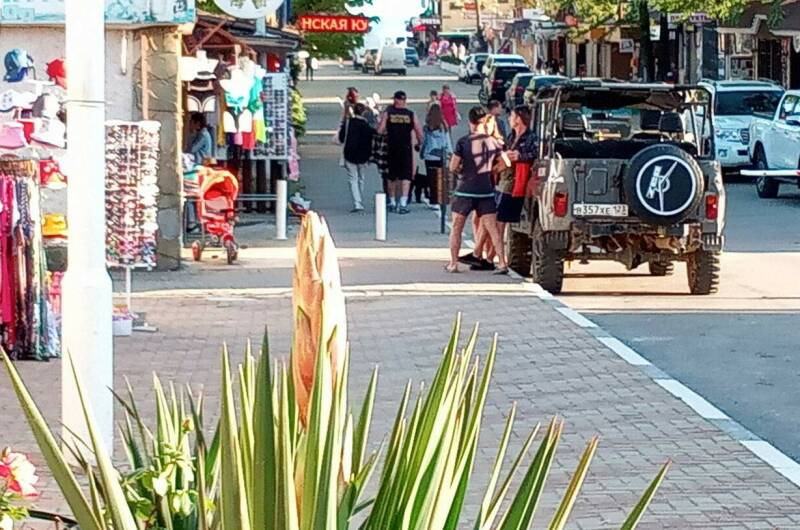 Гостевой дом «Zelionyi.dvorik»