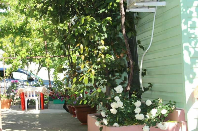 Гостевой дом «Zelionyi.dvorik»