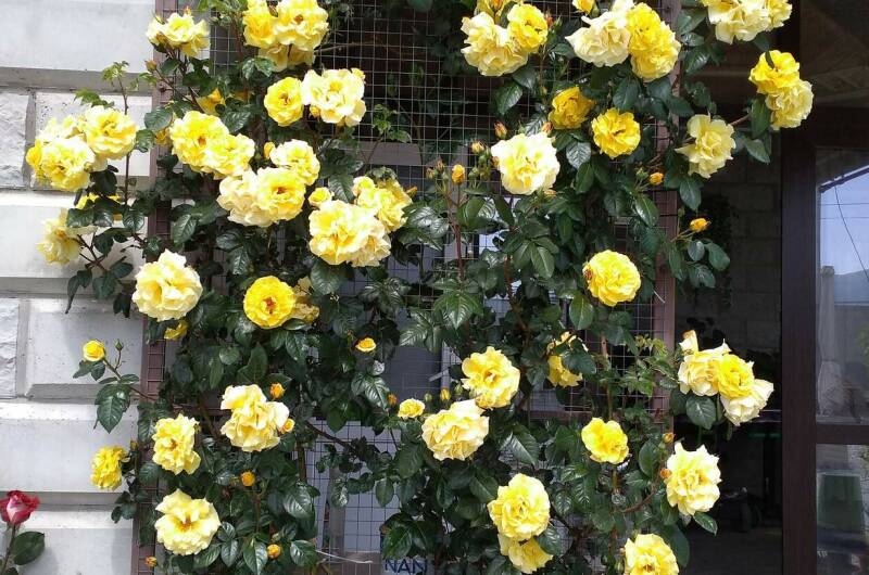 Гостевой дом «Отдых»