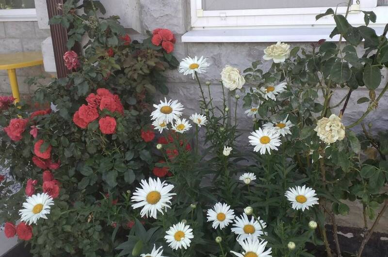 Гостевой дом «Отдых»