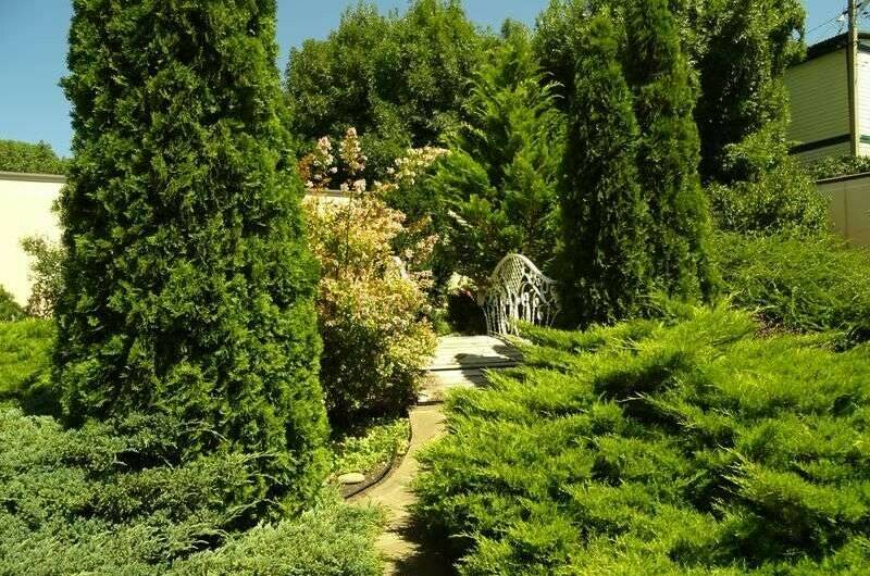 Гостевой дом «Костяника»