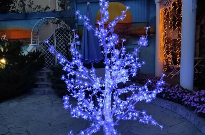 Гостевой дом «Костяника»