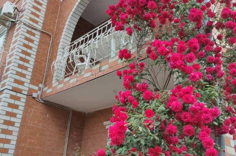 Этаж под ключ с отдельным входом до 11 гостей