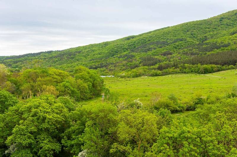 Гостевой дом «Отрада»