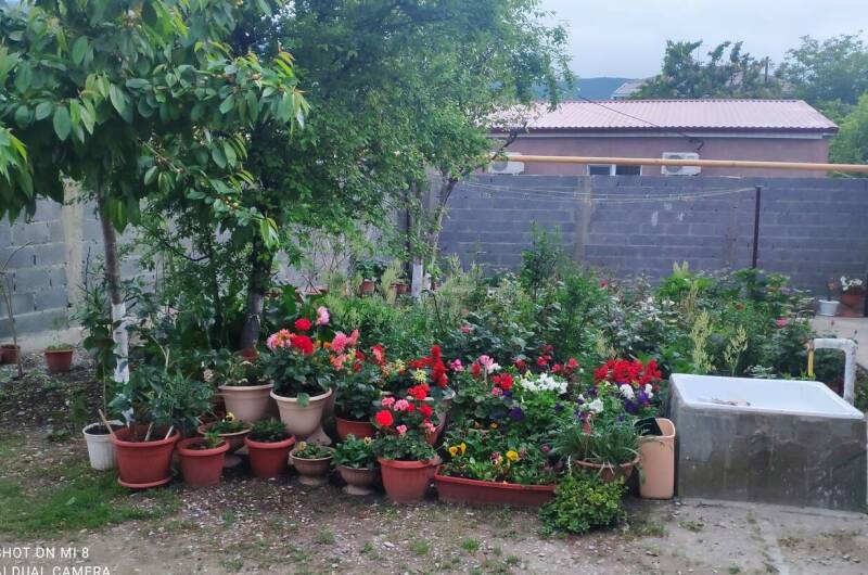 Номера на Революционной 33