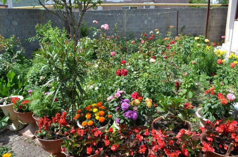 Номера на Революционной 33