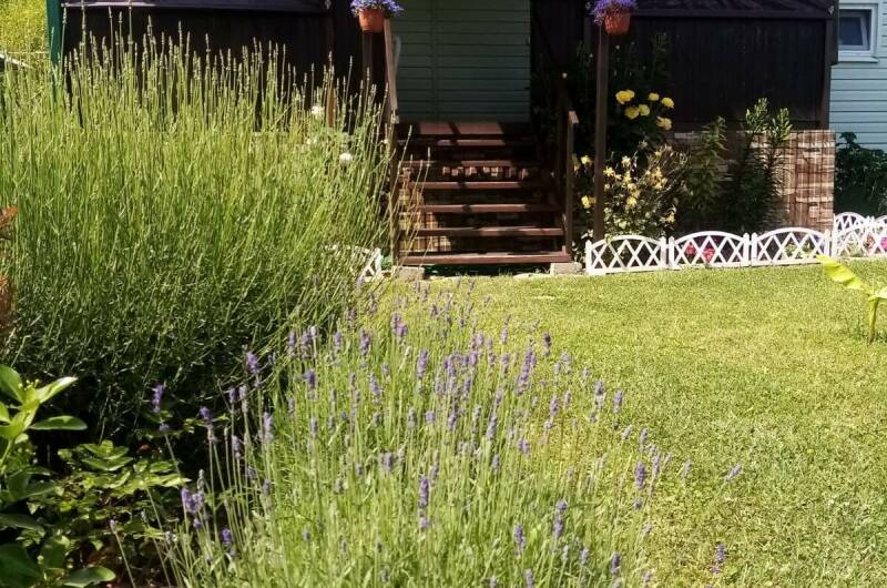 Дом под ключ «Дача»