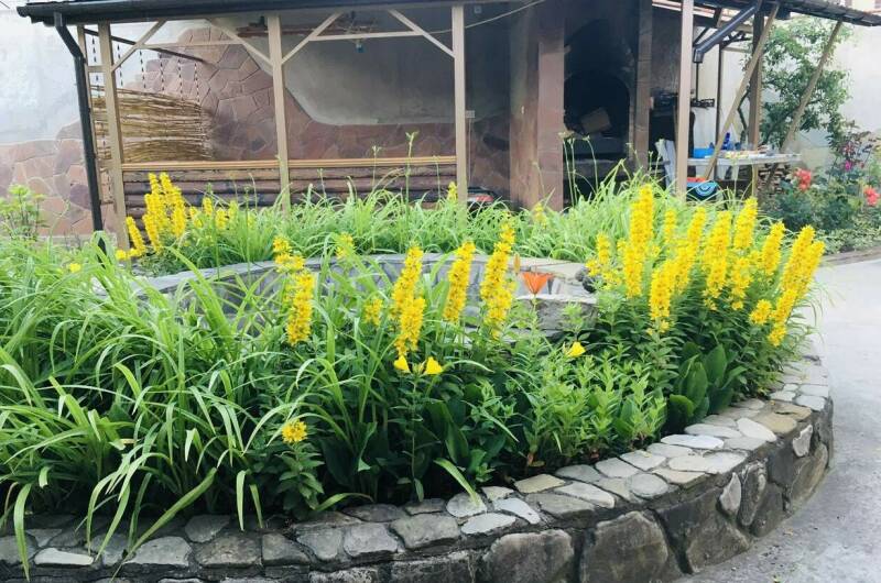 Частный сектор «Как на даче»