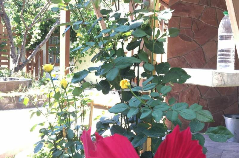 Частный сектор «Как на даче»