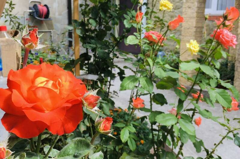 Частный сектор «Как на даче»