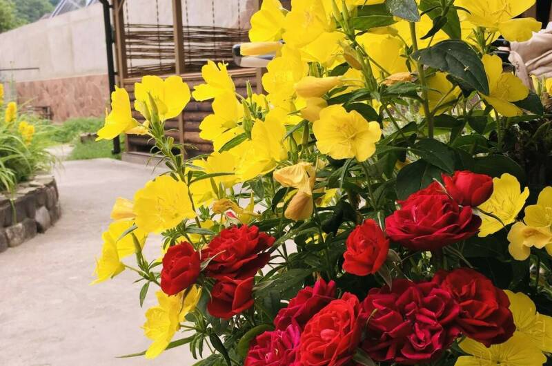 Частный сектор «Как на даче»