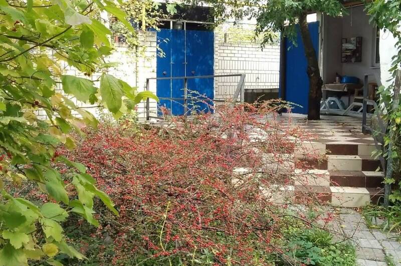 Гостевой дом «Тихая гавань»