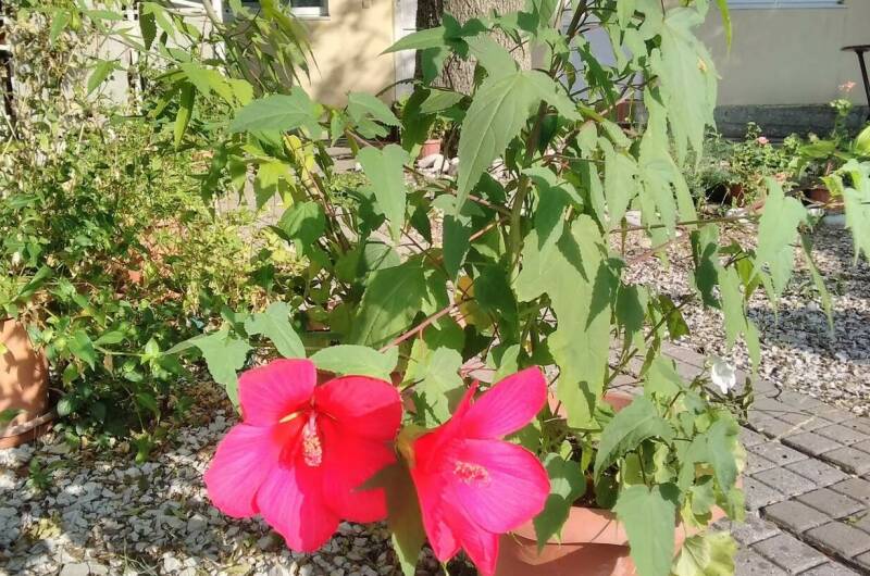 Гостевой дом «Тихая гавань»