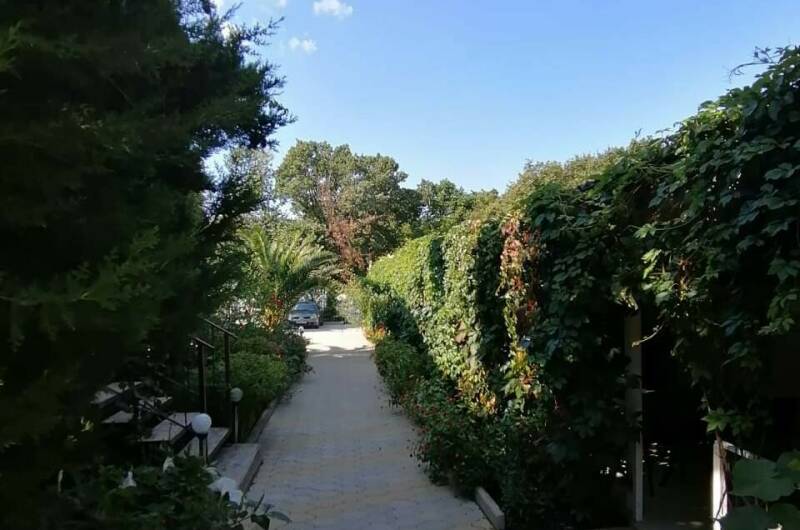 Гостевой дом «У Дяди Васи»