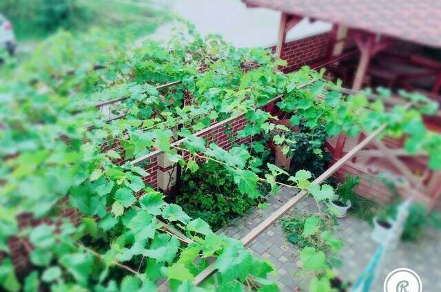 Гостевой дом «Twin Tower»