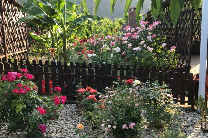 Гостевой дом «Синее небо» в Береговом