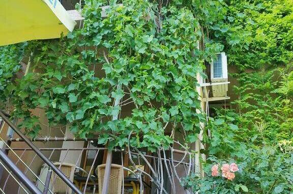 Гостевой дом «Ирина»