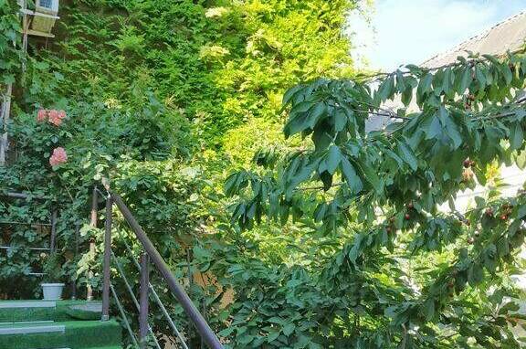 Гостевой дом «Ирина»