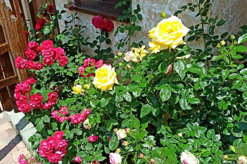 Гостевой дом «Уютный уголок»