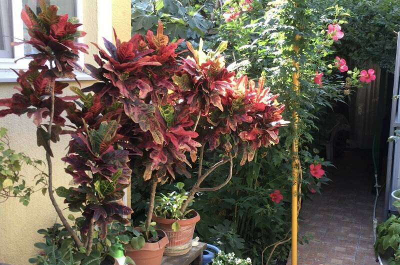 Частный сектор на Ульяновской