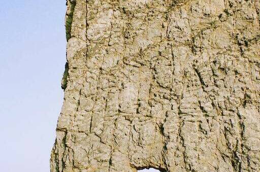 Гостевой дом «Сказка у моря»