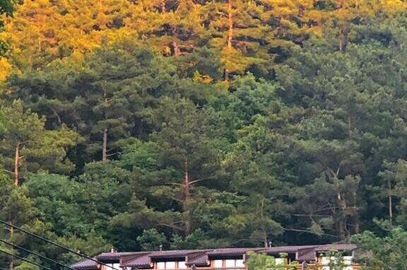 Гостевой дом «Сказка у моря»