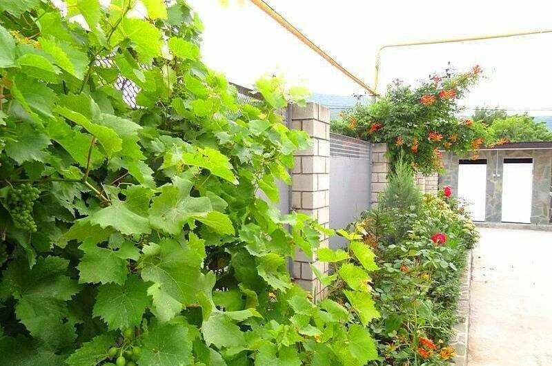 Гостевой дом «Helen»