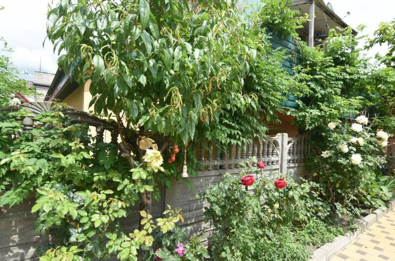 Гостевой дом «Астра»