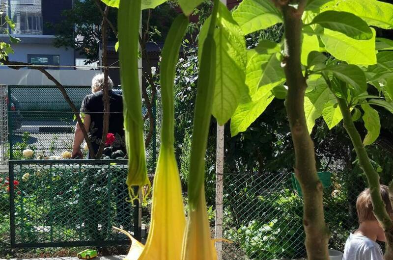 Гостевой дом на Школьной