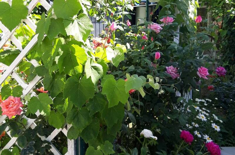 Гостевой дом на Школьной