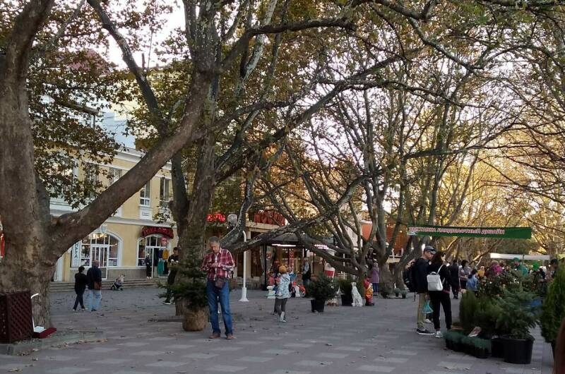 Гостевые комнаты «Прибойная 8»