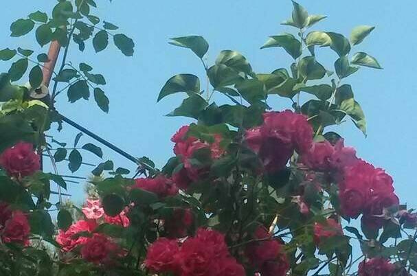 Гостевые комнаты «Прибойная 8»